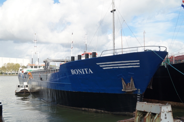 Bonita-'84(3)-920gt-Imo-860